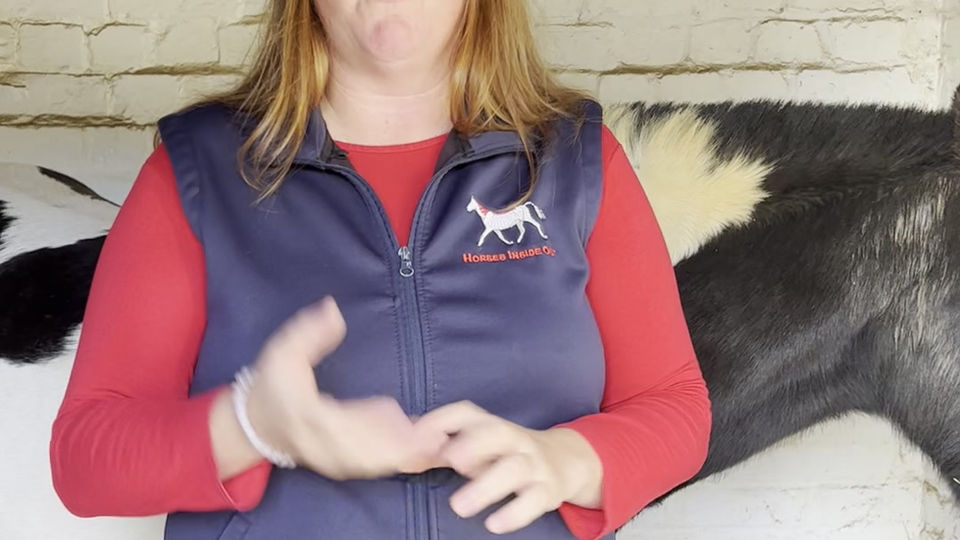 Laterality in Horses